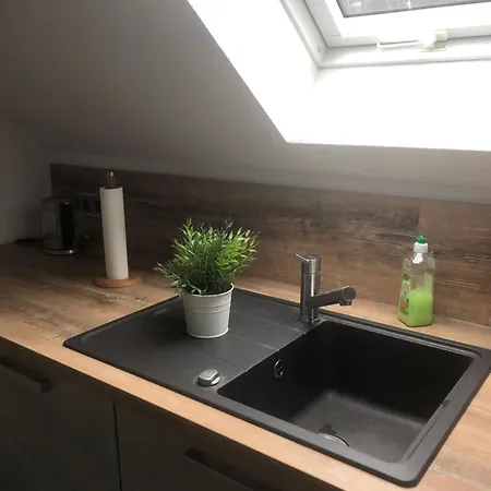 Apartment Parkblick
