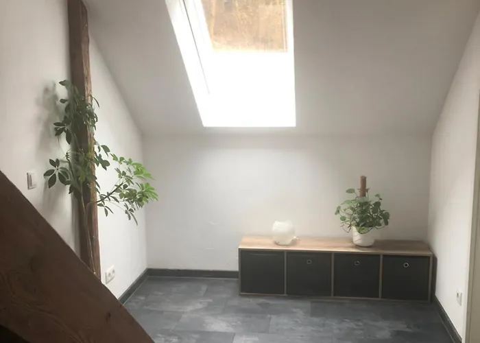 Parkblick Bad Elster