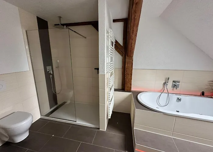 Parkblick Bad Elster